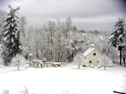 Pam B., New Hampshire - April 6, 2007